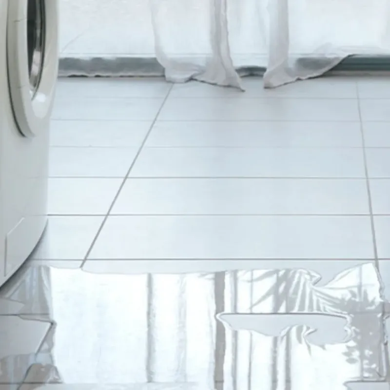 Appliance Leak Cleanup in Huntington, TX