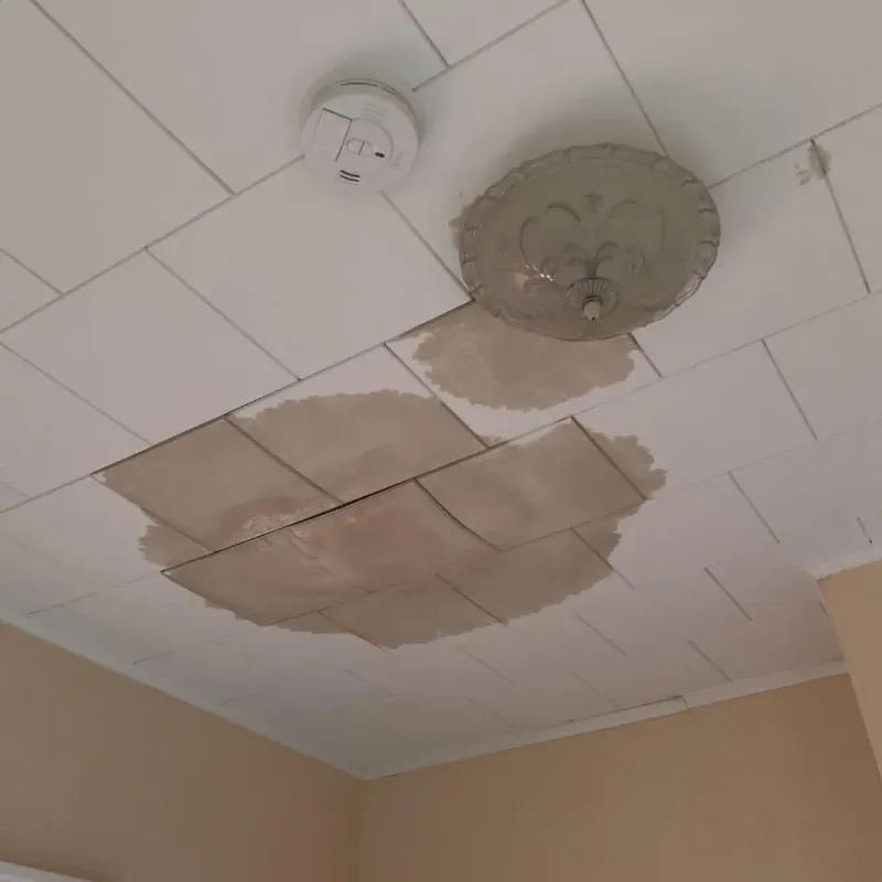 Ceiling Water Damage Repair in Huntington, TX