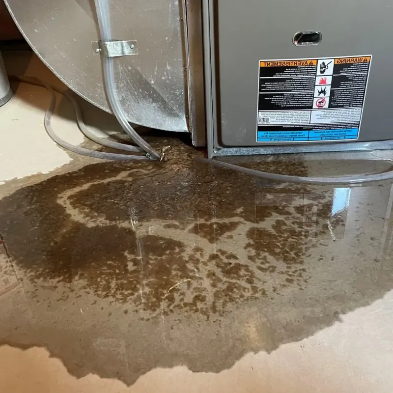 Pipe Burst and Leak Restoration in Huntington, TX