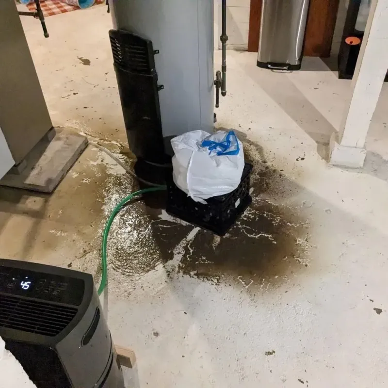 Sewage Backup Cleanup Service in Huntington, TX